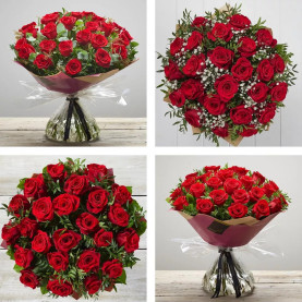 24 Sumptuous Red Roses