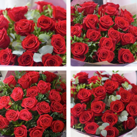 24 Sumptuous Red Roses